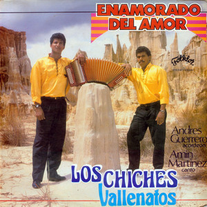 Enamorado Del Amor cover