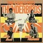 The Fabulous Thunderbirds cover