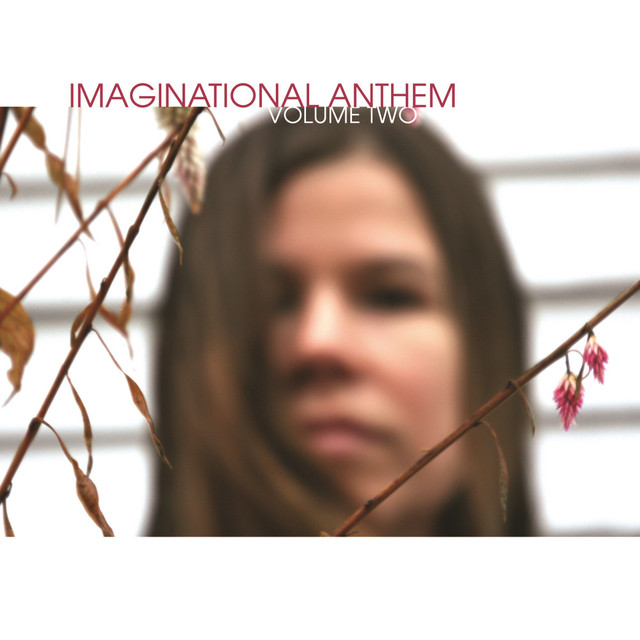 Imaginational Anthem Vol 2 cover
