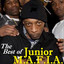 The Best of cover