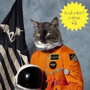Surfing the Void cover