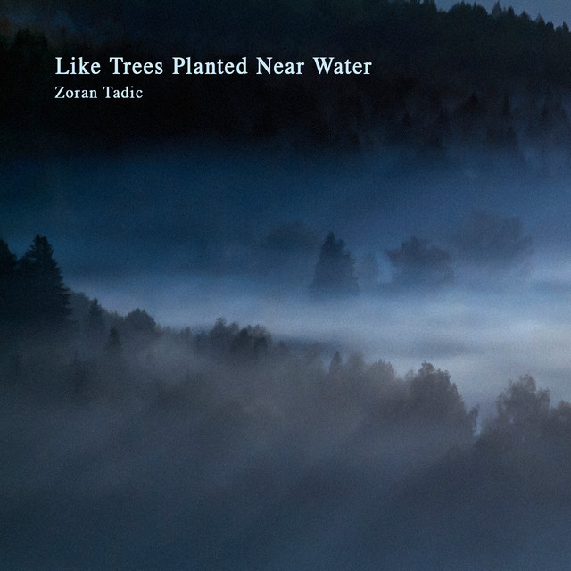 Zoran Photo