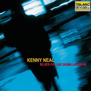 Blues Fallin' Down Like Rain album