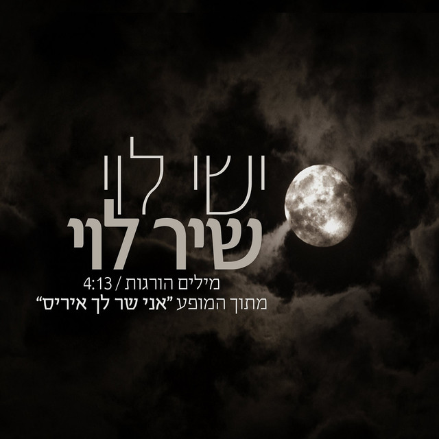 ישי לוי Photo