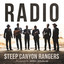 Radio cover