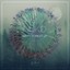 Misty Forest Lp Albumcover