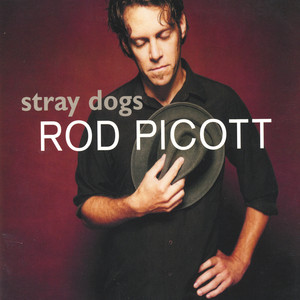 Stray Dogs cover