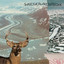 Superioryouareinferior Albumcover