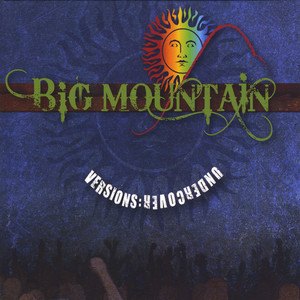 Versions Undercover album