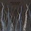 City of Echoes cover