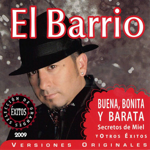Selección de Grandes Exitos 2009 album