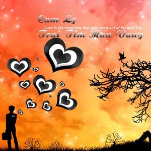Trai Tim Mau Vang Albumcover