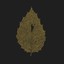 Between Leaves / Forestal Albumcover