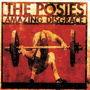 Amazing Disgrace cover