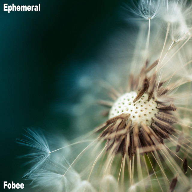 Fobee Photo