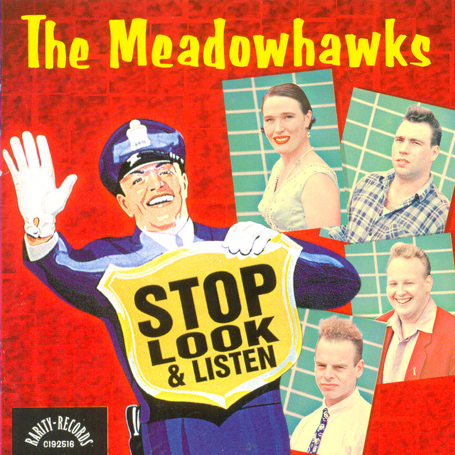 The Meadowhawks Photo