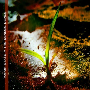 Vapor State