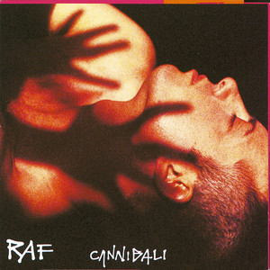 Cannibali album
