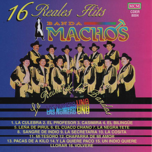 16 Reales Hits album