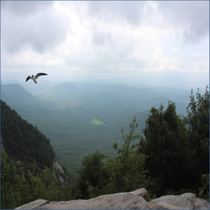 Soothing Loopable Brown Noise, Brown Waves and other Ambiences (Loopable Audio for Insomnia, Meditation and Restless Children) album