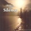 Power Of Silence Albumcover
