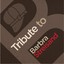 Tribute to Barbra Streisand Albumcover