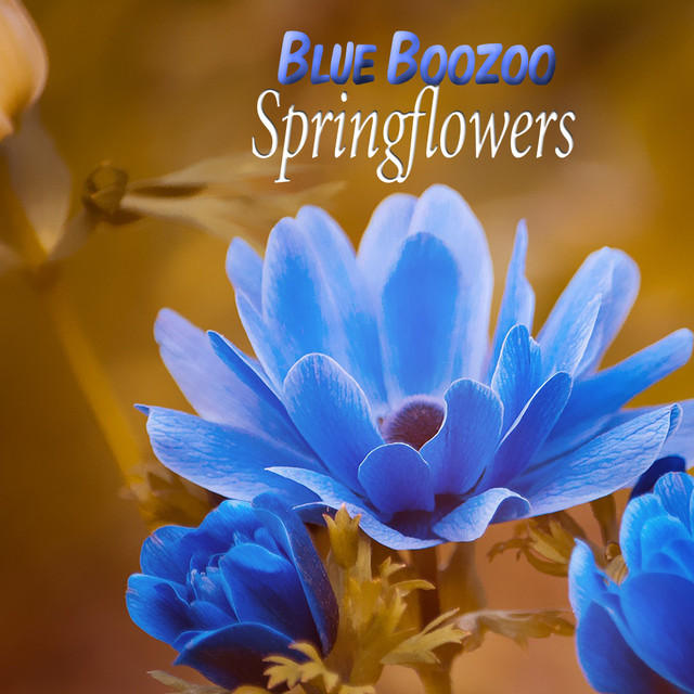 Blue Boozoo Photo