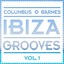 Ibiza Grooves Vol. 1 Albumcover