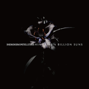 SHINE LIKE A BILLION SUNS cover