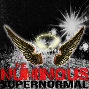 superNORMAL Albumcover