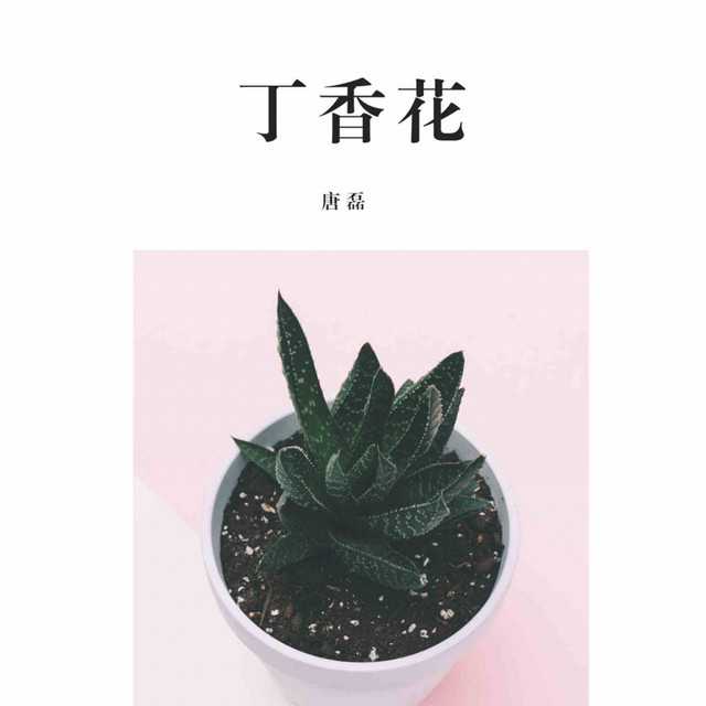 唐磊 Photo