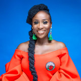 Aramide profile