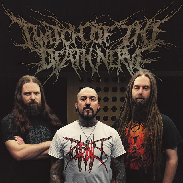 Twitch of The Death Nerve photo