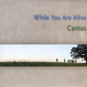 While You Are Alive album
