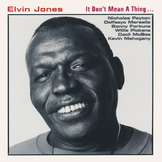 It Don't Mean A Thing… cover