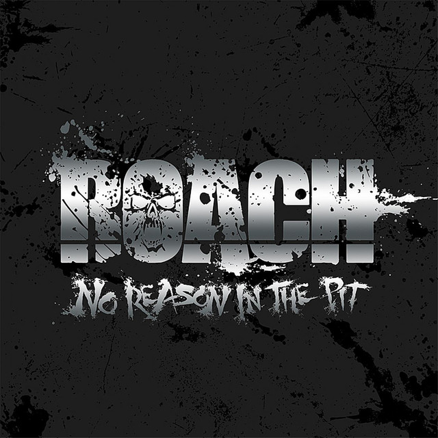 No Reason In The Pit cover