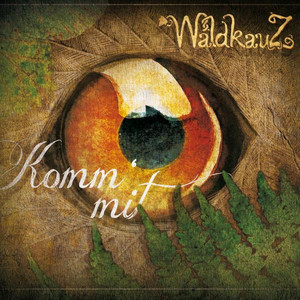 Waldkauz Photo