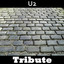 Desire: Tribute to U2 Albumcover
