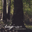 Found on the Forest Floor Albumcover