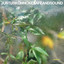 Safe and Sound cover