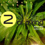 Two of a Kind cover