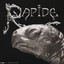 Rapide cover