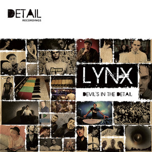 Devil's in the Detail cover