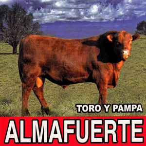 Toro y pampa cover