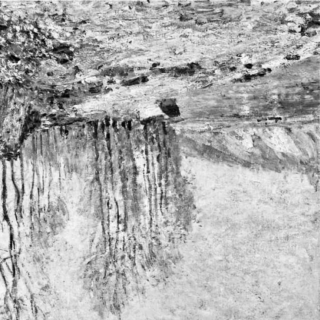 Plexia Photo
