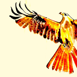The Phoenix cover