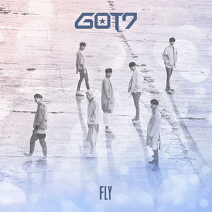 Fly cover
