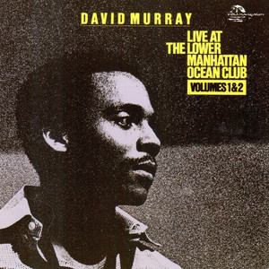 Live at the Lower Manhattan Ocean Club (Live) album