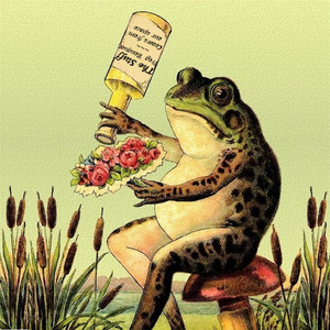 Frog Bouquet: Covers from Our Space Albumcover