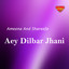 Aey Dilbar Jhani cover